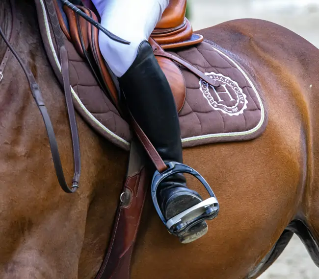 Reiten im Rottal-Inn Reiten im Rottal-Inn